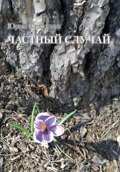 Обложка книги  «Частный случай»