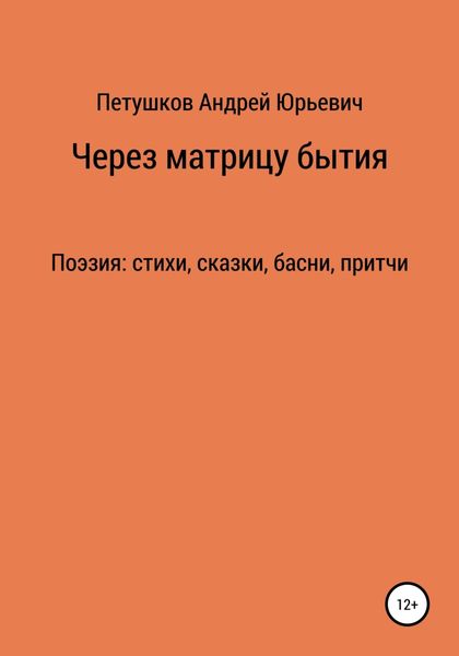 Обложка книги  «Через матрицу бытия»