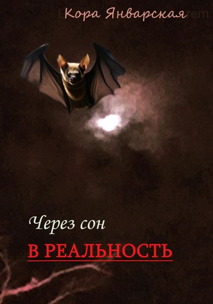 Обложка книги  «Через сон в реальность»