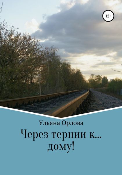 Обложка книги  «Через тернии к… дому»