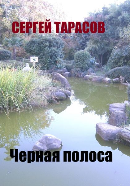 Обложка книги  «Черная полоса»