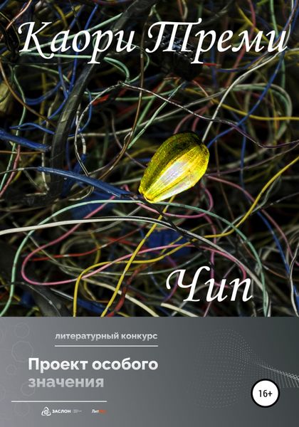 Обложка книги  «Чип»