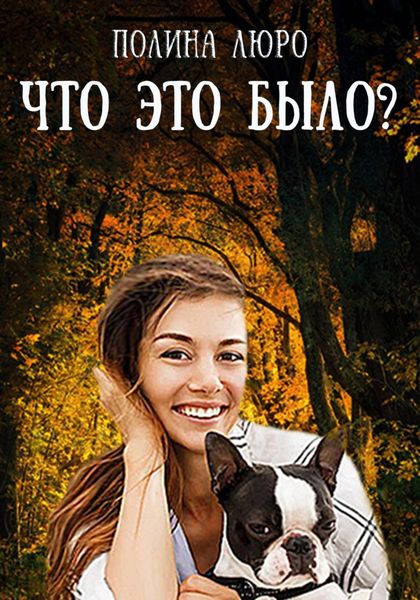 Обложка книги  «Что это было?»