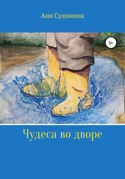 Обложка книги  «Чудеса во дворе»