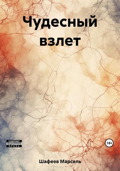 Обложка книги  «Чудесный взлет»