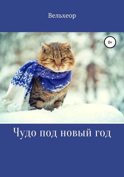 Обложка книги  «Чудо под новый год»