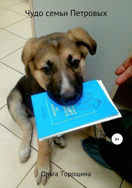 Обложка книги  «Чудо семьи Петровых»