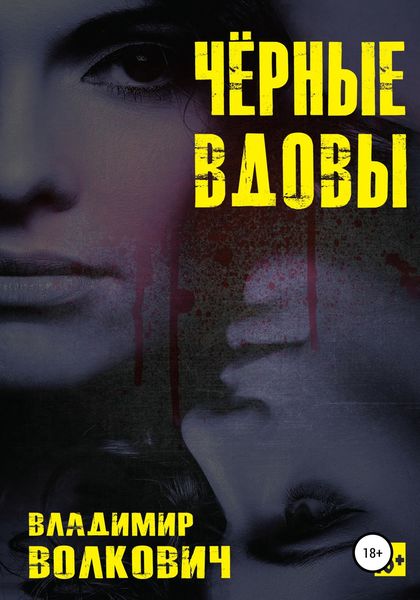 Обложка книги  «Чёрные вдовы»