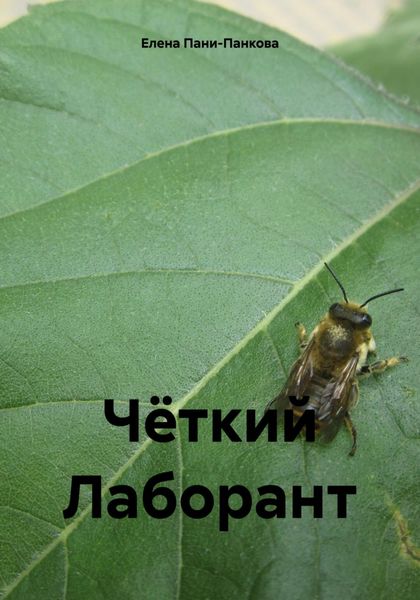 Обложка книги  «Чёткий Лаборант»