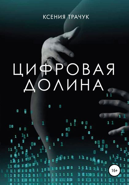 Обложка книги  «Цифровая долина»