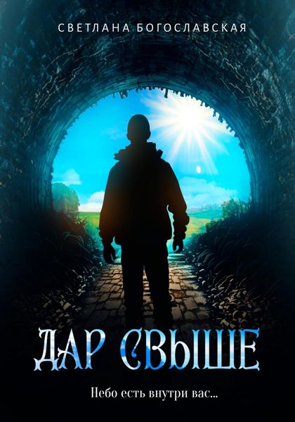 Обложка книги  «Дар свыше»
