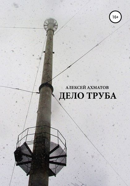Обложка книги  «Дело труба»
