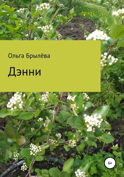 Обложка книги  «Дэнни»