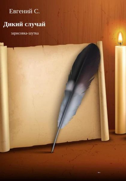 Обложка книги  «Дикий случай»
