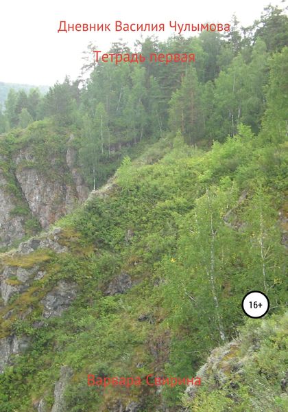 Обложка книги  «Дневник Василия Чулымова»