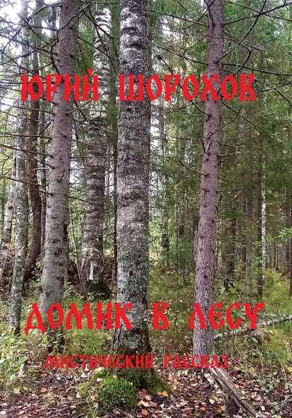 Обложка книги  «Домик в лесу»