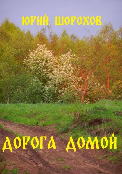 Обложка книги  «Дорога домой»