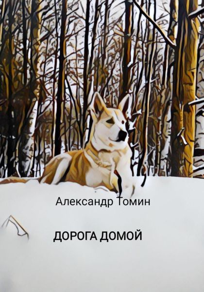 Обложка книги  «Дорога домой»