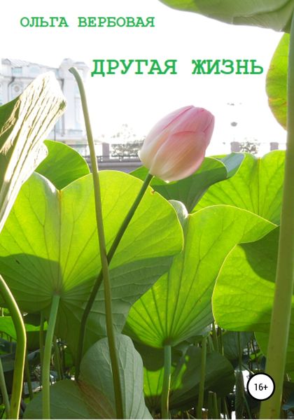 Обложка книги  «Другая жизнь»