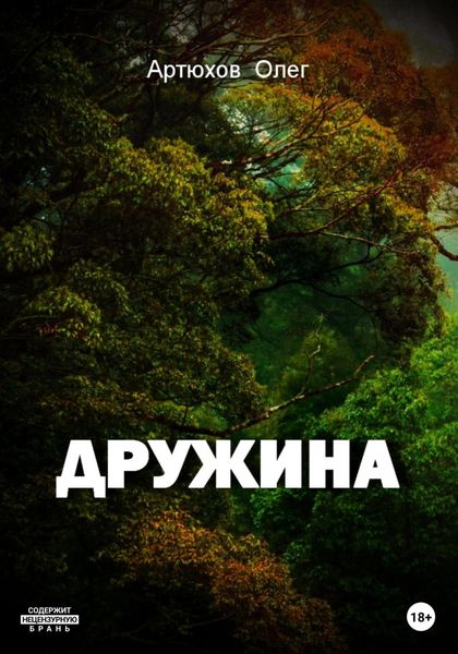 Обложка книги  «Дружина»