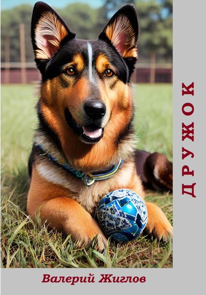 Обложка книги  «Дружок»