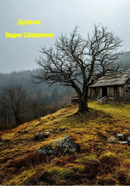 Обложка книги  «Дурачок»