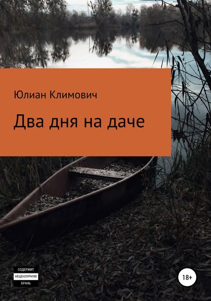 Обложка книги  «Два дня на даче»