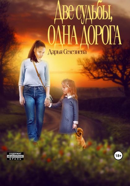 Обложка книги  «Две судьбы, одна дорога»