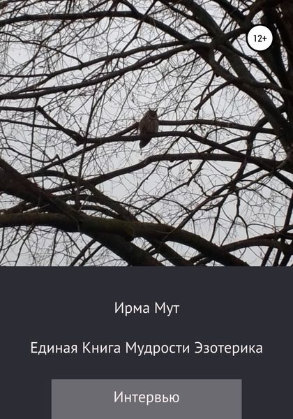 Обложка книги  «Единая книга мудрости эзотерика»