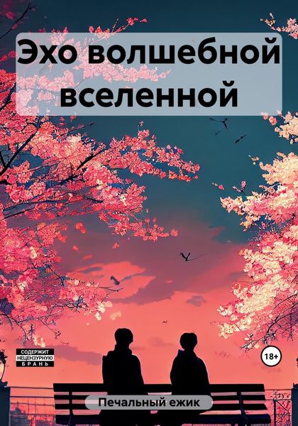 Обложка книги  «Эхо волшебной вселенной»