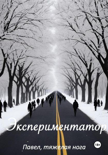 Обложка книги  «Экспериментатор»