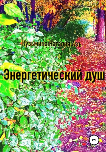 Обложка книги  «Энергетический Душ»
