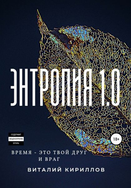 Обложка книги  «Энтропия 1.0»