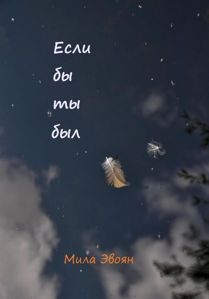 Обложка книги  «Если бы ты был»