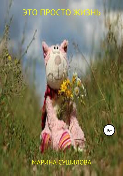 Обложка книги  «Это просто жизнь»