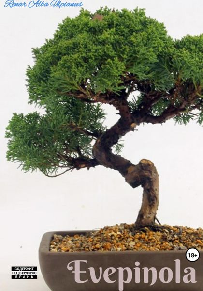 Обложка книги  «Evepinola»