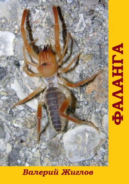 Обложка книги  «Фаланга»