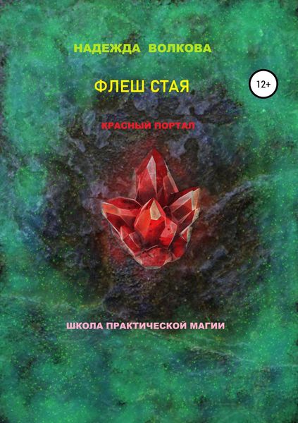 Обложка книги  «Флеш Стая. Красный портал. Школа практической магии»