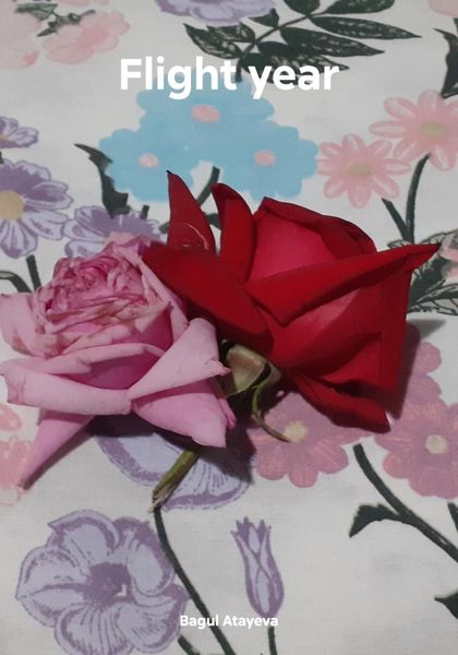 Обложка книги  «Flight year»
