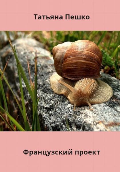 Обложка книги  «Французский проект»