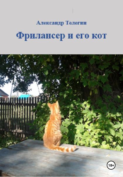 Обложка книги  «Фрилансер и его кот»