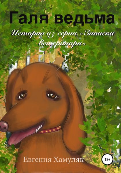 Обложка книги  «Галя ведьма»