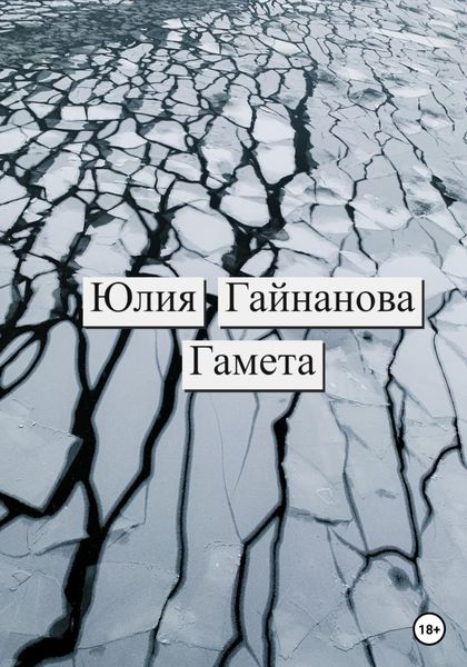 Обложка книги  «Гамета»
