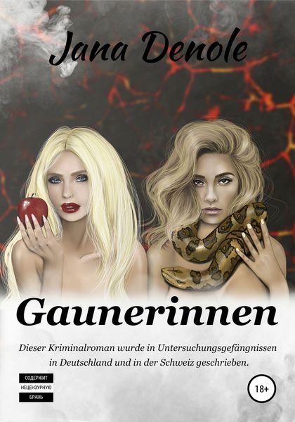 Обложка книги  «Gaunerinnen»