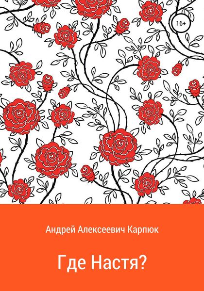 Обложка книги «Где Настя?»