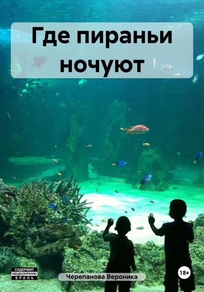 Обложка книги  «Где пираньи ночуют»