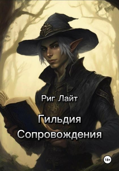 Обложка книги  «Гильдия Сопровождения. Том I. Начало»