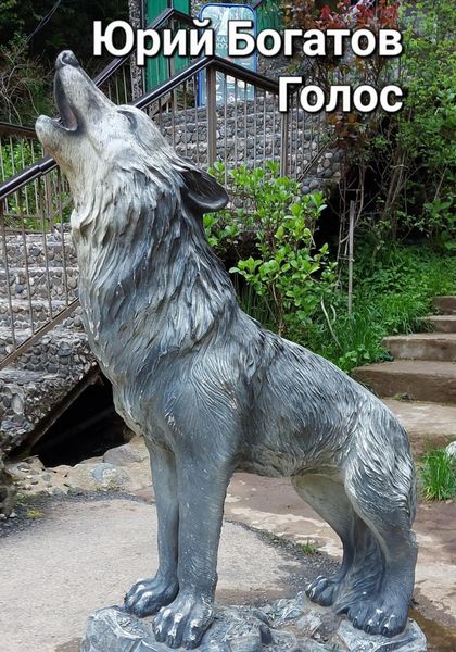 Обложка книги  «Голос»