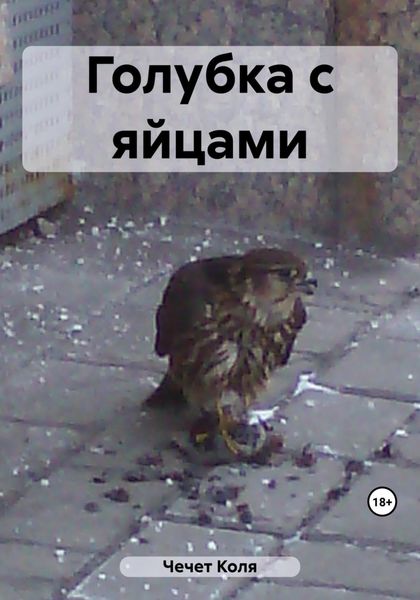 Обложка книги  «Голубка с яйцами»