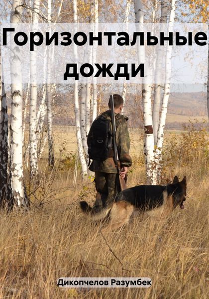 Обложка книги  «Горизонтальные дожди»